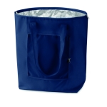 Goedkope 210T polyester koeltas bedrukken Fresh kleur blauw