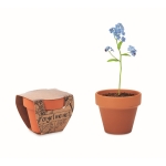 Gepersonaliseerde terracotta ''vergeet me niet'' potten Myosotis kleur bruin