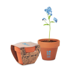 Gepersonaliseerde terracotta ''vergeet me niet'' potten Myosotis weergave met bedrukking