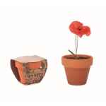 Promotionele terracotta potten met maanzaad Amapola kleur bruin