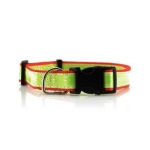 Reflecterende huisdierhalsband als reclamegeschenk DogFluor kleur rood vijfde weergave