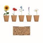 Bloemenkweekset met 5 verschillende soorten Kit 5 Flowers Grow kleur beige