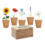 Bloemenkweekset met 5 verschillende soorten Kit 5 Flowers Grow weergave met bedrukking