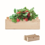 Aardbeienkweekset in houten kist mini-boomgaard Strawberry kleur hout