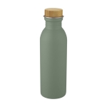 Stalen fles met bamboe deksel met elegant design 650ml Glorious kleur mintgroen