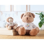 Teddybeer met sweatshirt bedrukken Ted kleur wit sfeervolle hoofdweergave