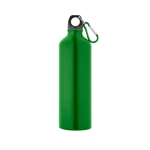 Grote gekleurde aluminium fles met karabijnhaak 800ml Cruiser XL kleur lichtgroen