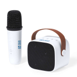 Karaokeset met speaker en microfoon origineel cadeau voor klant met jouw bedrukking