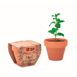 Terracotta pot met muntzaadjes en grondtablet inbegrepen weergave met bedrukking