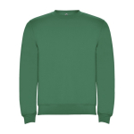 Unisex trui van katoen en polyester 280 g/m2 Roly kleur groen