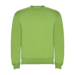 Unisex trui van katoen en polyester 280 g/m2 Roly kleur limoen groen