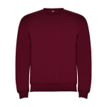 Trui voor kinderen van katoen en polyester 280 g/m2 Roly kleur bordeaux