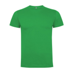 Katoenen T-shirt met korte mouwen voor mannen 165 g/m2 Roly kleur groen