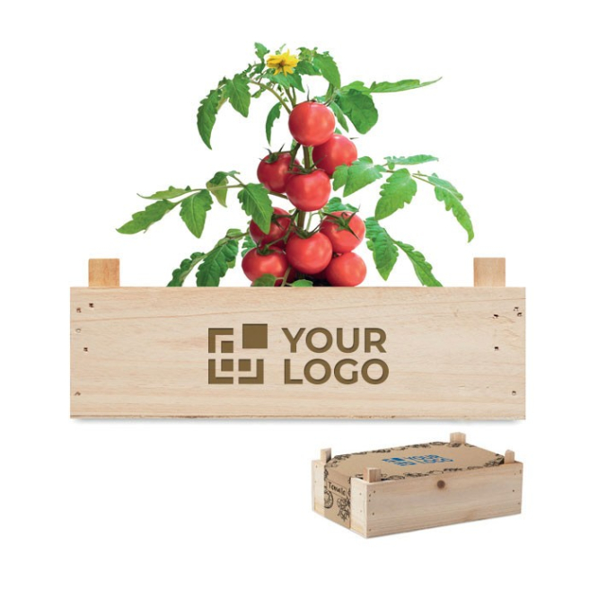 Tomatenkweekset als promotiemateriaal kleur hout